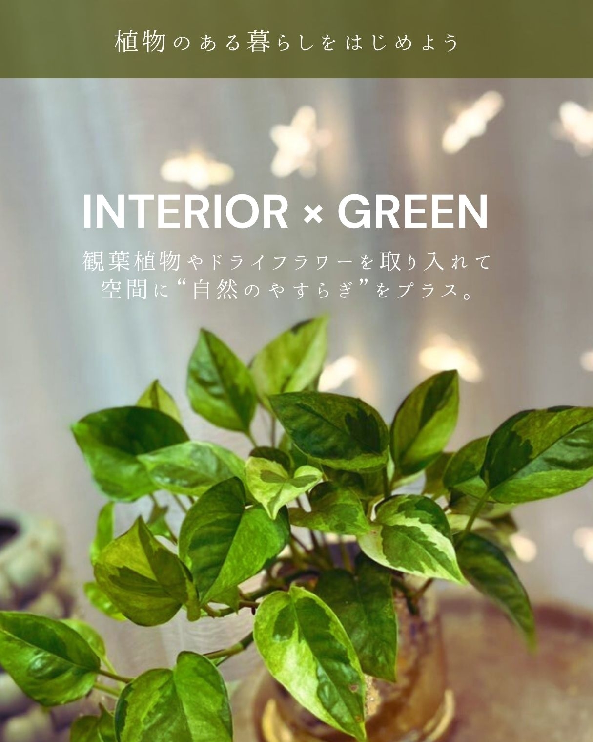 「インテリア×グリーン──植物のある暮らしをはじめよう」